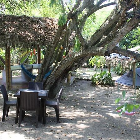 Las Cabanas De La Iguana Ayampe Exteriör bild