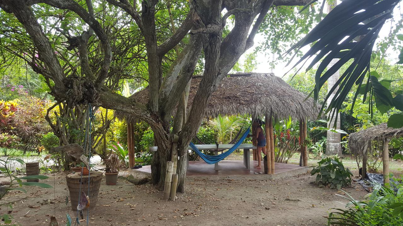 Las Cabanas De La Iguana Ayampe Exteriör bild