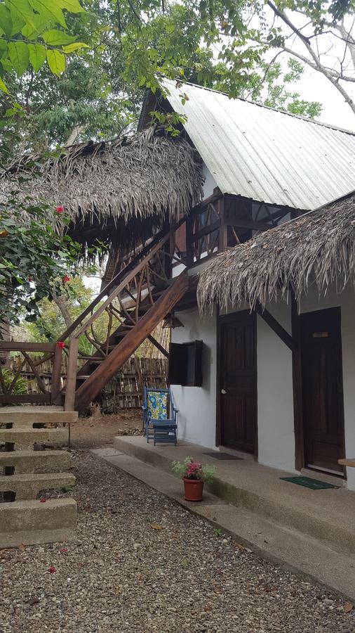 Las Cabanas De La Iguana Ayampe Exteriör bild